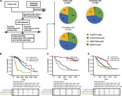 Effects of 1p/19q Codeletion on Immune Phenotype in Low Grade Glioma